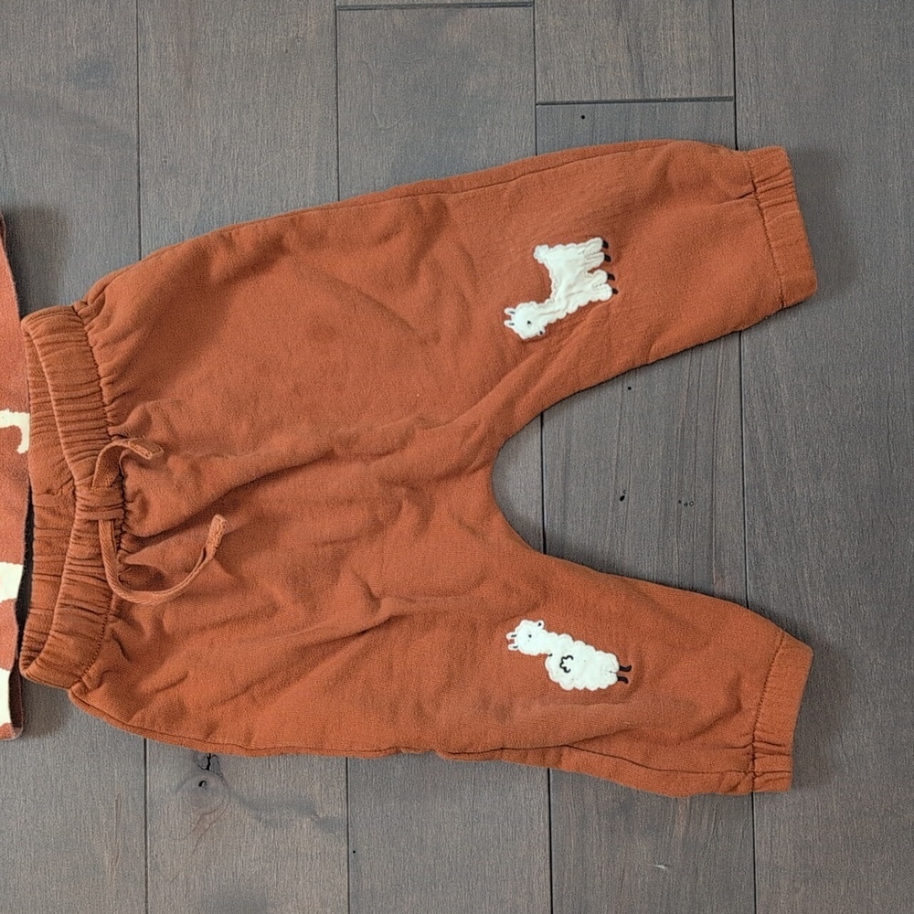 Hanna Andersson 12-18 Month Llama Print Long Sleeve Tee & French Terry Pants Set - Picture 4 of 11